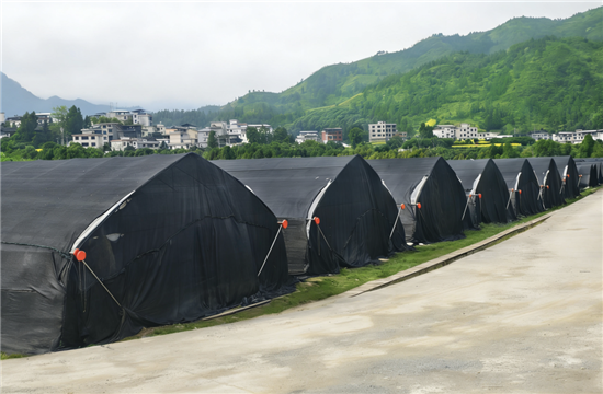 微信图片_2026-03-10_160907_878