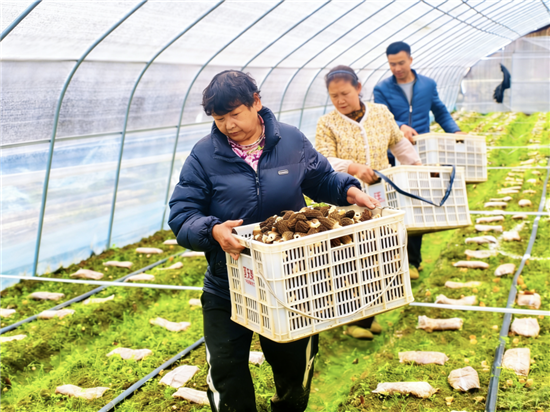 微信图片_2026-03-10_160918_291