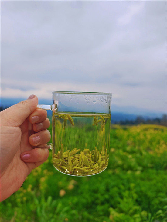 微信图片_2026-03-10_161345_471