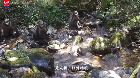 微信图片_20260313101438_2455_2