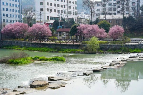 微信图片_2026-03-14_233129_886