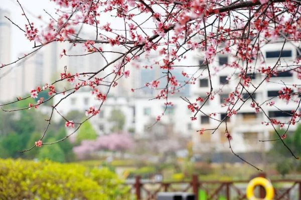 微信图片_2026-03-14_233208_776