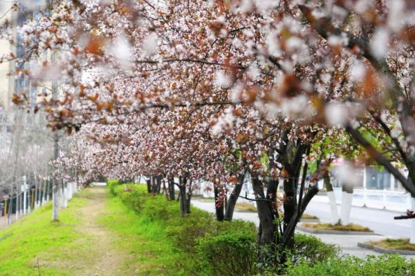 微信图片_2026-03-14_233241_710