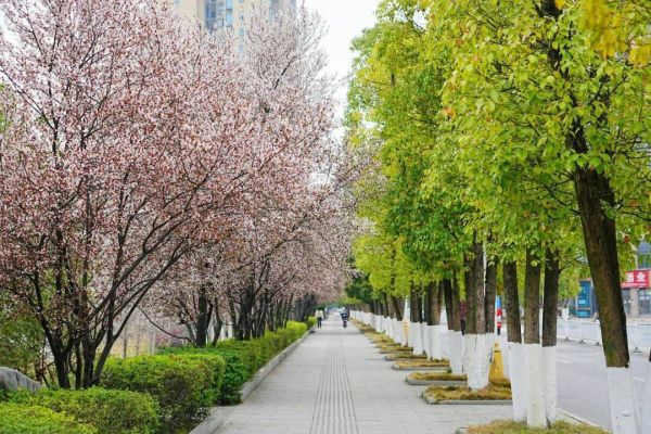 微信图片_2026-03-14_233223_803