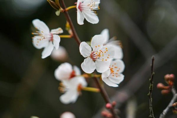 微信图片_2026-03-14_233249_849