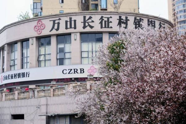 微信图片_2026-03-14_233304_272