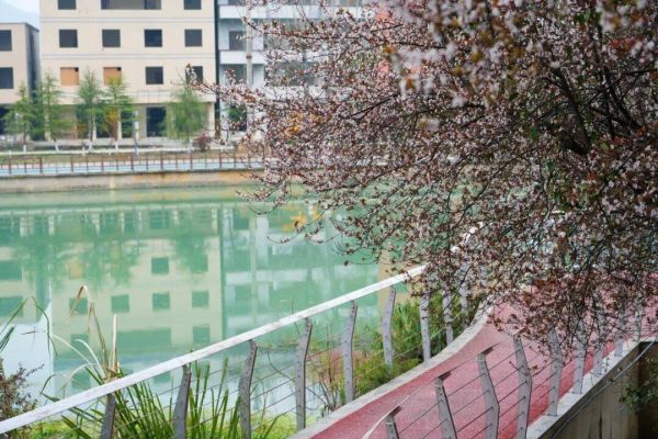 微信图片_2026-03-14_233256_773