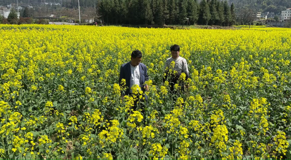 微信图片_2026-03-14_234028_654