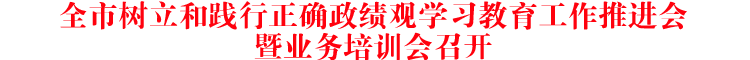 全市树立和践行正确政绩观学习教育工作推进会暨业务培训会召开