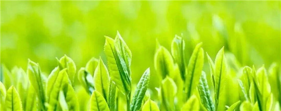 微信图片_2026-03-16_094436_356