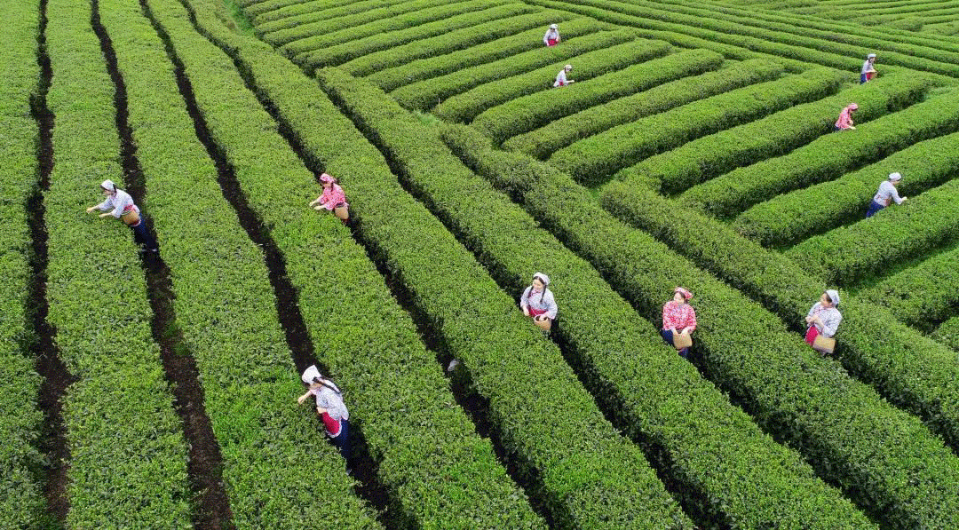 微信图片_2026-03-17_162208_436