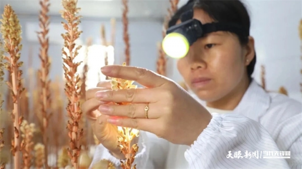 微信图片_2026-03-17_162216_830