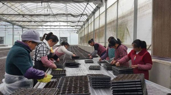 微信图片_2026-03-17_192919_659