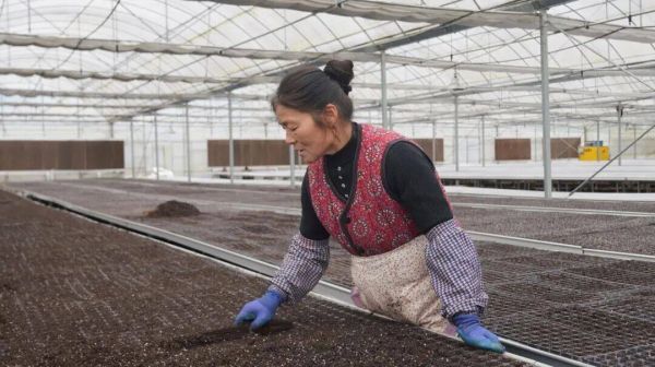 微信图片_2026-03-17_192936_249