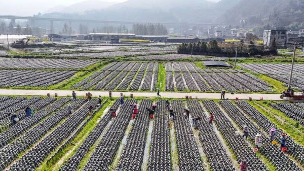 微信图片_2026-03-17_193320_781