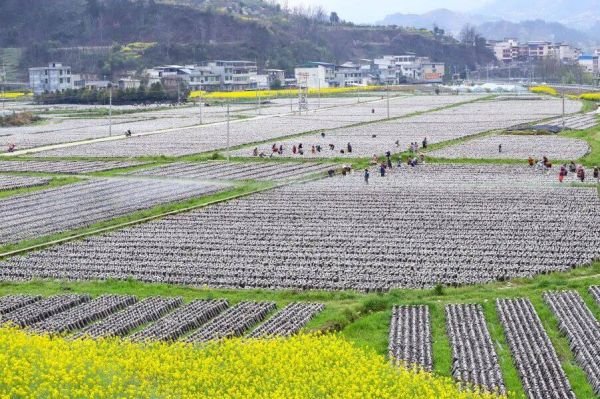 微信图片_2026-03-17_193313_571