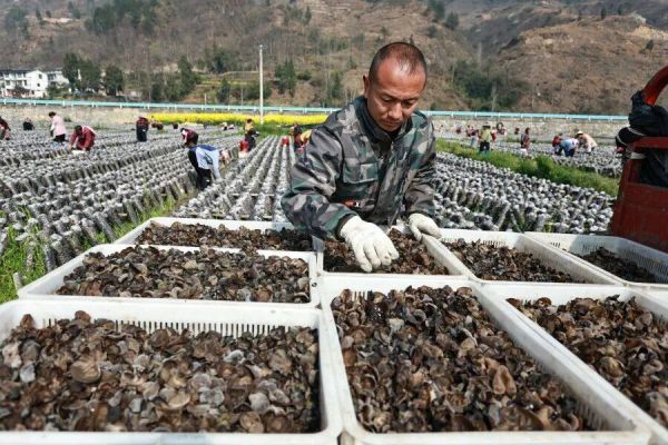 微信图片_2026-03-17_193329_100