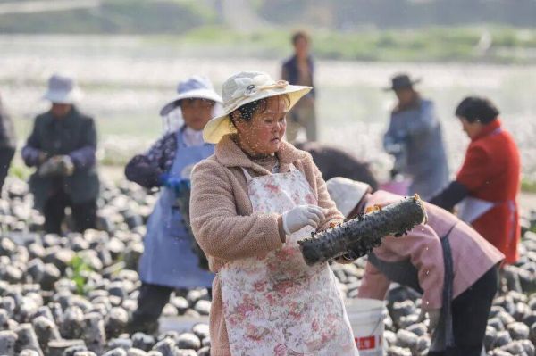 微信图片_2026-03-17_193341_456