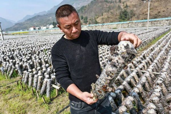 微信图片_2026-03-17_193349_760