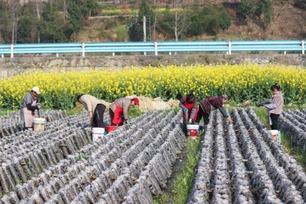 微信图片_2026-03-17_193405_815