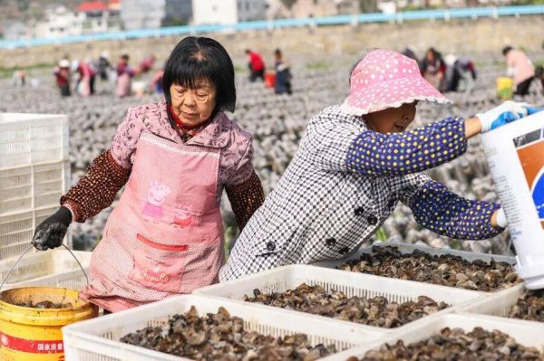 微信图片_2026-03-17_193413_917