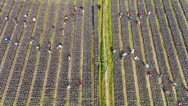 微信图片_2026-03-17_193430_245