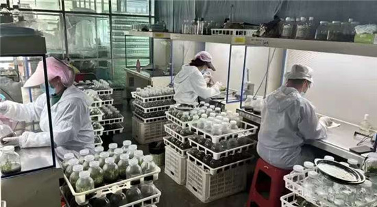 微信图片_20260319104557_2533_2