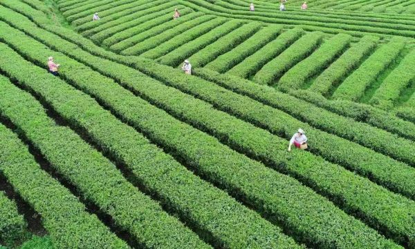 a884d32c4f72234cc70a8b06dd0ecb5e