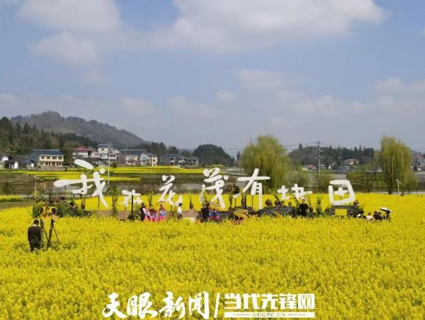 2ab235659c879f182331ea50645966dc