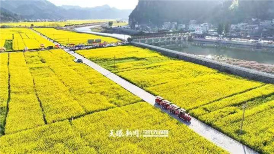 微信图片_20260322180511_2565_2