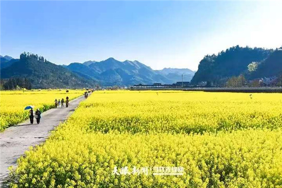 微信图片_20260322180512_2567_2