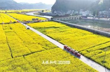 万亩花海激活铜仁“周末经济”