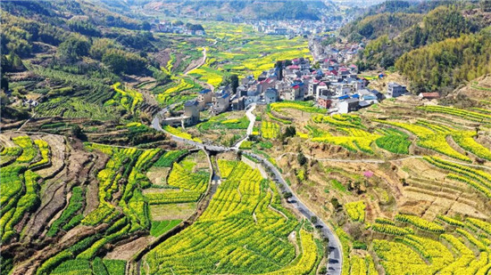 经济热点快评｜“大稳定、小调整”，二轮到期再延30年
