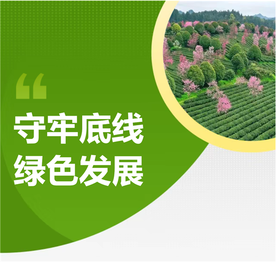 绿色经济，撑起铜仁发展“半壁江山”