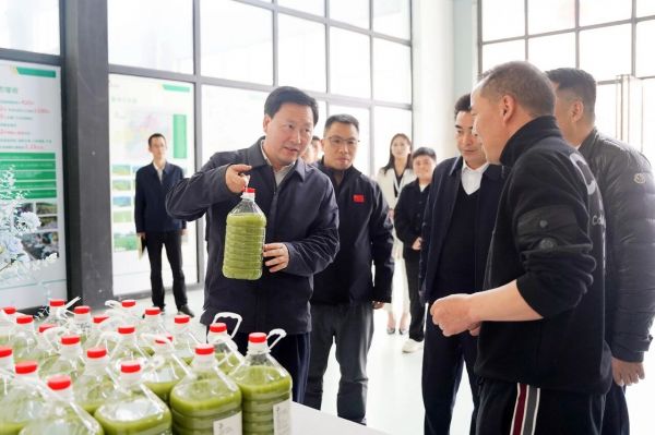 穆嵘坤调研梵净抹茶小镇及产业园建设工作