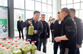 穆嵘坤调研梵净抹茶小镇及产业园建设工作