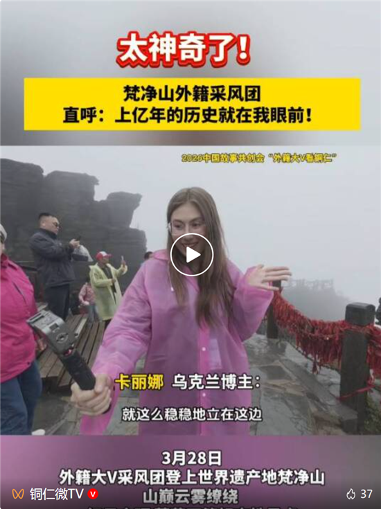 微信图片_20260331101722_2633_2