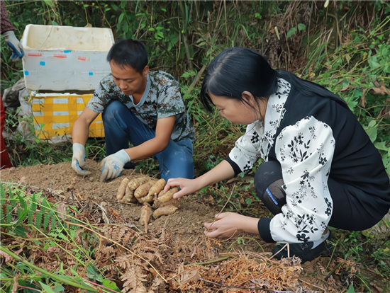 微信图片_2026-03-31_114231_818