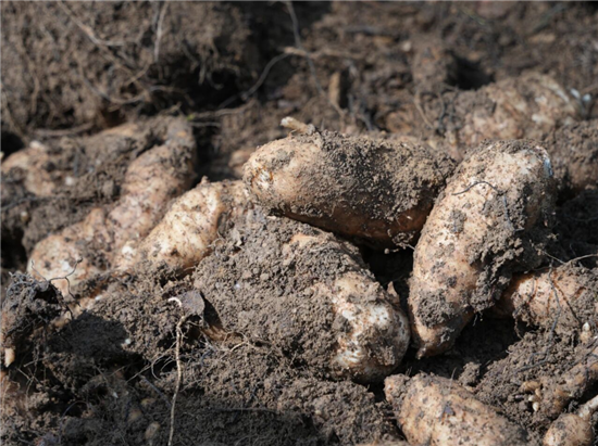 微信图片_2026-03-31_114235_769