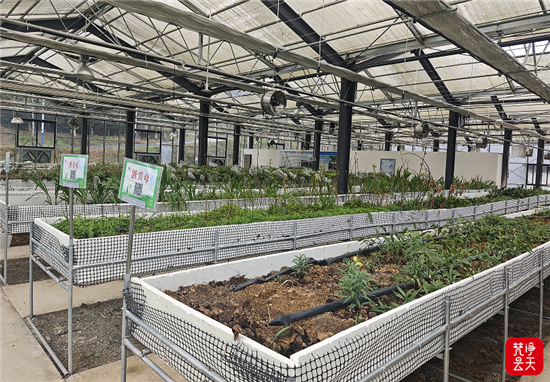 微信图片_2026-03-31_114837_727