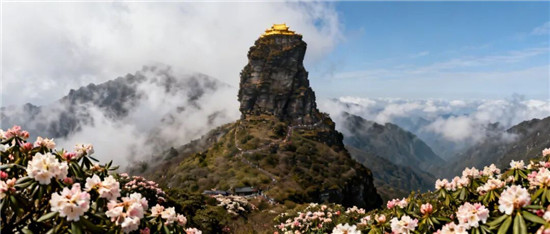 今日起，铜仁这项新规正式施行