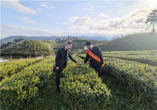 工行铜仁分行:引金融“活水”润茶山 绘就乡村振兴新画卷