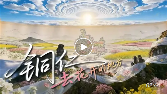 去花开的地方·铜仁 