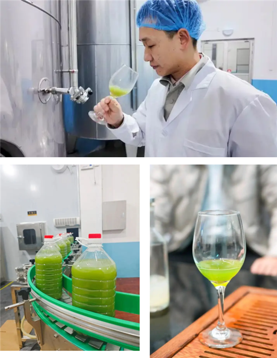 微信图片_20260403100309_2696_2