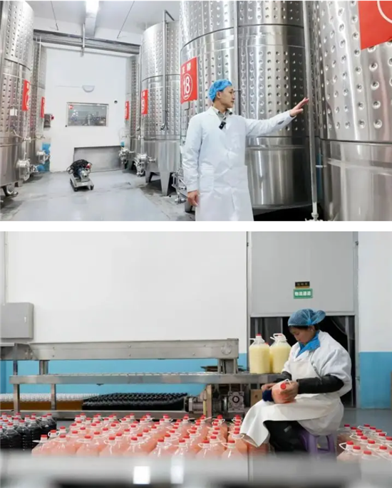 微信图片_20260403100309_2697_2