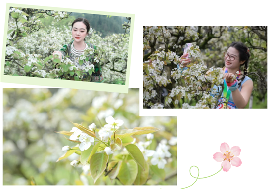 微信图片_20260403101815_2699_2