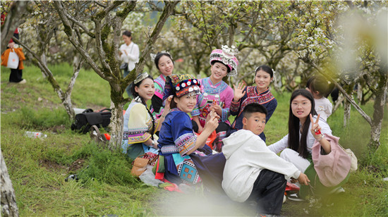 沿河：春假赏梨花 洞篮引客来