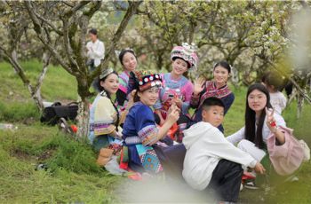 沿河：春假赏梨花 洞篮引客来