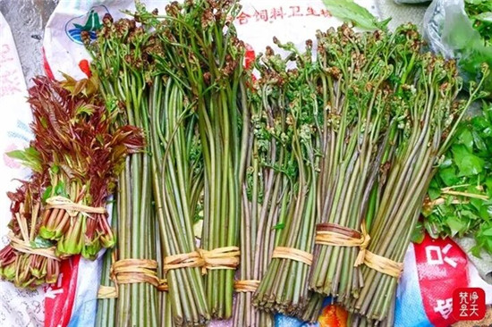 清明尝鲜正当时 铜仁时令美食走俏市场