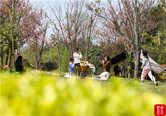 【网络中国节·清明】玉屏：踏青游玩 乐享假期